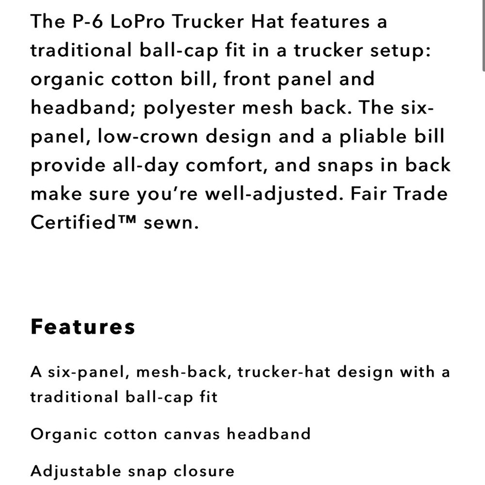 Patagonia P-6 Logo LoPro Celadon Trucker Hat - Picture 6 of 8